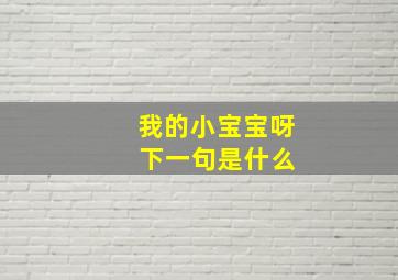 我的小宝宝呀 下一句是什么